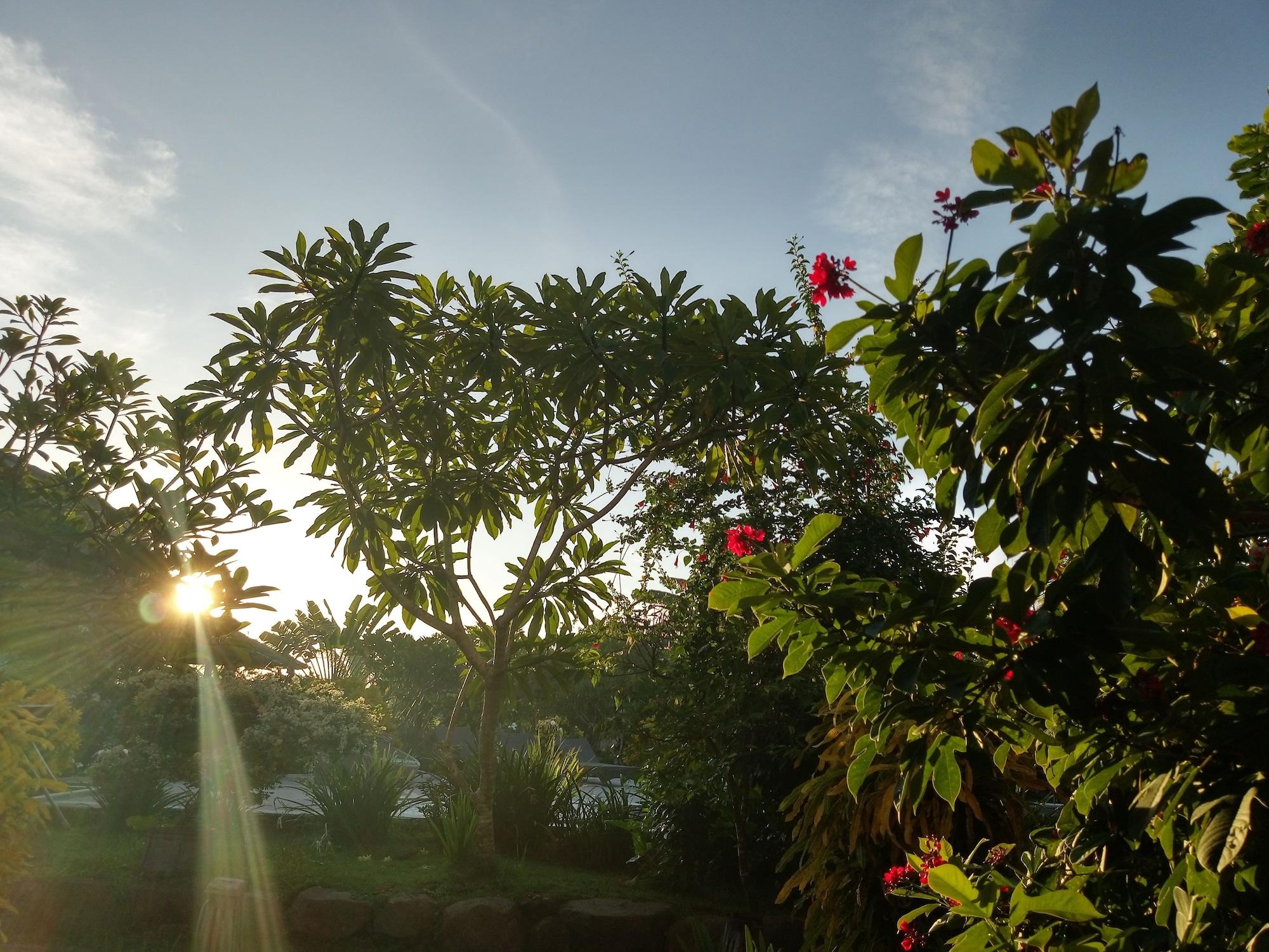 Kuta  Owa Lodge Areguling מראה חיצוני תמונה